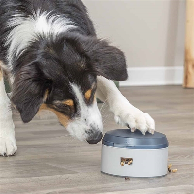 Trixie Aktivitetsleksak För Hunden Activity Buzzer